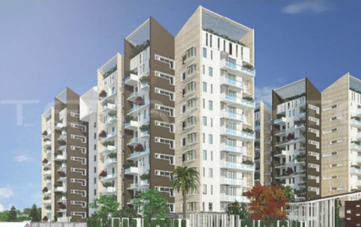 Sequoia By Marvel Infra Builders project installation